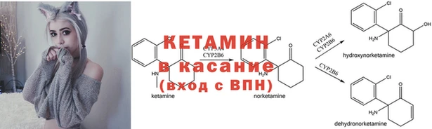 стаф Белокуриха