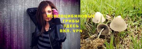 винт Новодвинск