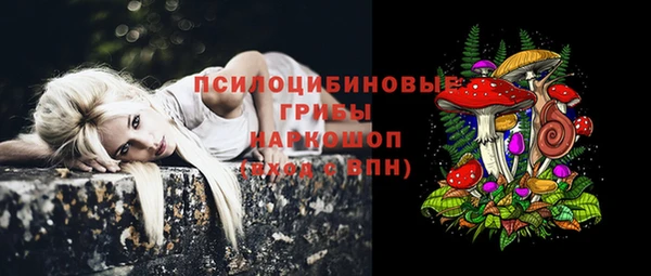 винт Новодвинск