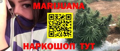 крисы Апшеронск
