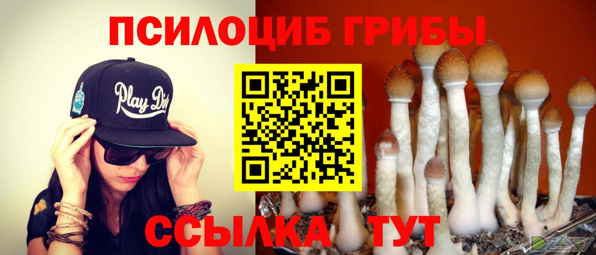 Владивосток  Галлюциногенные грибы ЛСД  Вход с VPN 