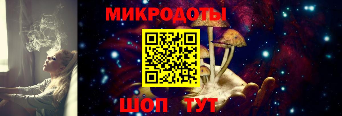 Псилоцибиновые грибы Cubensis Владивосток